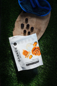 Nighttime Mushroom Adaptogen Gummies   Sugar Free Vegan Blend with Reishi