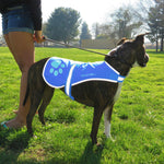 Load image into Gallery viewer, Reflective Dog Vest Hi-Vis L Size 31.63 in Chest x 23 in Neck Blue