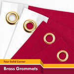 Load image into Gallery viewer, 2 Pack Florida FL State Flag 3x5 Ft Printed 150D Polyester 4 Corner Brass
