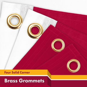 2 Pack Florida FL State Flag 3x5 Ft Printed 150D Polyester 4 Corner Brass