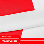 Load image into Gallery viewer, Switzerland Swiss Flag 3x5 Ft 10Pack 150D Printed Polyester By G128