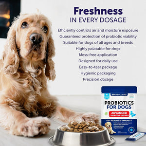 Probiotic Powder for Dogs   Support Gut Health Itchy Skin Allergies Immunity
