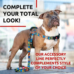 Load image into Gallery viewer, Nylon Dog Leash for Small Dogs and Medium Dogs 4 Ft   Strong Dog Leash for Large Dogs   Heavy Duty Dog Leashes for Large Breed Dogs &amp; Puppy Leash for Small Boy &amp; Girl Dogs

