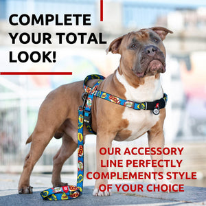 Nylon Dog Leash for Small Dogs and Medium Dogs 4 Ft   Strong Dog Leash for Large Dogs   Heavy Duty Dog Leashes for Large Breed Dogs & Puppy Leash for Small Boy & Girl Dogs