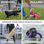 Load image into Gallery viewer, Puller Outdoor Dog Ring Toys Dog Fetch Toy Mini 2 Rings for Small Dogs Purple
