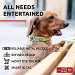 Load image into Gallery viewer, Leather Dog Collar Adjustable All Sizes Buckle D-Ring &amp; QR Tag
