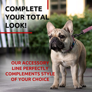 WAUDOG Recycled Cotton Dog Leash 6 Ft 10 Ft Eco Friendly Collar for Small Medium & Large Dogs Reflective Dog Leash for Medium Dogs Strong Leashes for Large Breed Dogs Puppy Leash for Small Dogs