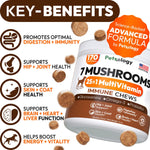 Load image into Gallery viewer, Mushroom Chews Supplement   Multivitamin for Dogs Vitamins Health