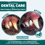 Load image into Gallery viewer, Dog Dental Powder   Breath Freshener   Dog Teeth Cleaning Powder   Tartar and Plaque Off Remover for Dogs   Probiotics   Multivitamin Blend Pet Oral Care Vitamins and Supplements   All Breeds &amp; Sizes