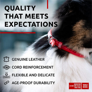 Ultra Soft Rolled Leather Dog Collar for Small Dogs Soft Padded Dog Collars for Medium Dogs Puppy Collars for Large Breed Dogs Male and Female Dog Collar