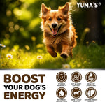 Load image into Gallery viewer, Turkey Tail Mushroom for Dogs Vitamins and Supplements for Dogs Lumps and Bumps Guard Multivitamin Buddy