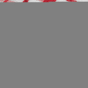 Premium Dish Towels for Kitchen with Hanging Loop 8 Pack 16x26 inch Red Color