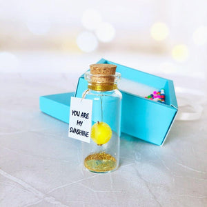 Tiny Magical Message in a Bottle Gift Idea   Classy Inspirational Gifts for Him
