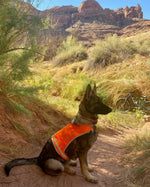 Load image into Gallery viewer, Lite Dog Vest Chest Size 42 Inch Neck Size 21.75 inch Coverage to Mid Back XL