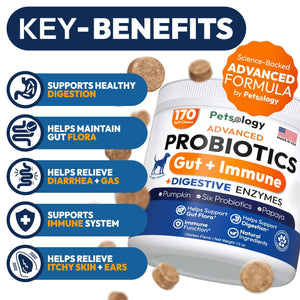Probiotics for Dogs 170 Chews Dog Digestive Enzymes Prebiotics Support Gut