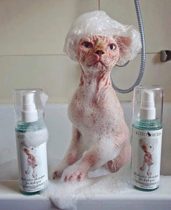 Sphynx cat Shampoo for Naked and Hairless Cats 120 ml with Foam Pump