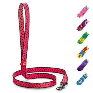 Nylon Dog Leash for Small Dogs and Medium Dogs 4 Ft Strong Dog Leash for Large Dogs Heavy Duty Dog Leashes for Large Breed Dogs & Puppy Leash for Small Boy & Girl Dogs