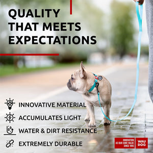 Waterproof Dog Leash 4 Ft Anti Slip Dog Leash for Large Dogs Small and Medium