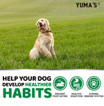 Load image into Gallery viewer, No Poo Chews for Dogs 170 Count Coprophagia Deterrent Probiotics