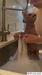 Load image into Gallery viewer, Shower Caps for Sphynx Cats and Small Pets 20pcs Keep Ears Dry While Bathing
