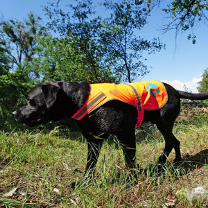 Reflective Dog Vest XL Size Orange Chest 42 In Neck 21.75 in Hi Visibility