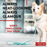 Load image into Gallery viewer, Rolled Leather Dog Leash 4 ft x 0.4 in All Sizes Mint