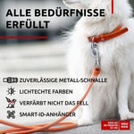 Load image into Gallery viewer, Ultra Soft Rolled Leather Dog Collar for Small Dogs 1316 in Orange Soft Padded
