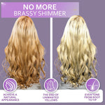 Load image into Gallery viewer, Purple Shampoo   Toner for Blonde Hair   For Color Treated Bleached Silver