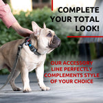 Load image into Gallery viewer, WAUDOG Recycled Cotton Dog Leash 6 Ft 10 Ft Eco Friendly Collar for Small Medium &amp; Large Dogs Reflective Dog Leash for Medium Dogs Strong Leashes for Large Breed Dogs Puppy Leash for Small Dogs
