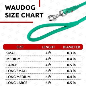 WAUDOG Rolled Leather Dog Leash 4Ft * 0.5 in for Small Medium and Large Dogs Heavy Duty Leather Puppy Leash for Outdoor Walking Running Training Strong Dog Leashes for Large Breed Dogs (Mint)