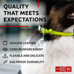 Load image into Gallery viewer, Ultra Soft Rolled Leather Dog Collar for Small Dogs Soft Padded Dog Collars for Medium Dogs Puppy Collars for Large Breed Dogs Male and Female Dog Collar
