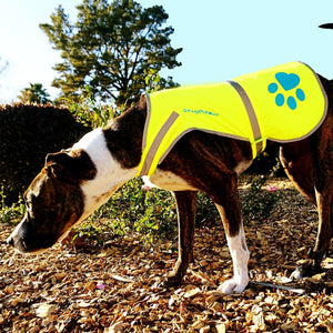 Urban Dog Reflective Vest L Size Fluorescent Hi Visibility Dog Jacket Yellow