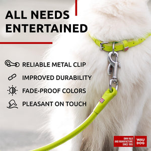 WAUDOG Rolled Leather Dog Leash 4Ft * 0.3 in for Small Medium and Large Dogs Heavy Duty Leather Puppy Leash for Outdoor Walking Running Training Strong Dog Leashes for Large Breed Dogs (Green)