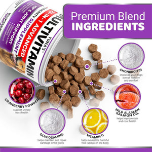 (2 Pack) Multivitamin Treats for Dogs Made in USA