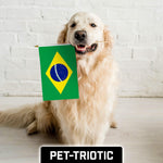 Load image into Gallery viewer, G128 12 Pack Handheld Brazil Brazilian Stick Flags  12x18 In  Printed 150D Polyester, Country Flag, Solid Wooden Stick, Spear Gold Tip