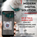 Load image into Gallery viewer, Ultra Soft Rolled Leather Dog Collar for Small Dogs Mint 8  10 inch Neck Soft
