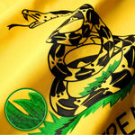 Load image into Gallery viewer, G128 Dont Tread on Me (Gadsden) Flag  2.5x4 feet  Heavy Duty Spun Polyester 220GSM Embroidered Tough, Durable, Indoor/Outdoor, Vibrant Colors, Brass Grommets