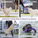 Load image into Gallery viewer, Puller Outdoor Dog Ring Toys Dog Fetch for Large Dogs Standard Size 2 Rings
