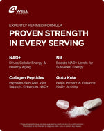 Load image into Gallery viewer, NAD Plus Supplement 1400mg NMNH Supplement Alternative Supports Healthy Aging Complex with Nicotinamide Riboside &amp; Gotu Kola Collagen Formula for Energy Skin &amp; Cognitive 60 Caps