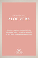 Load image into Gallery viewer, Organic After Sun Shimmer Lotion Aloe Vera Pineapple Shea Butter Papaya 8 fl oz
