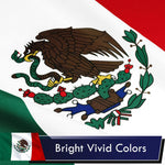 Load image into Gallery viewer, Mexico Mexican Flag 3x5 Ft 10Pack Printed Polyester By G128