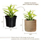 Load image into Gallery viewer, Jute Planter Basket Set of 2 Woven Jute Rope Covers for Decorating Indoor Outdoor Succulents Small Plant Pots Multi Purpose Storage Bins 6.5 Inches   Modern Style Décor  Brown