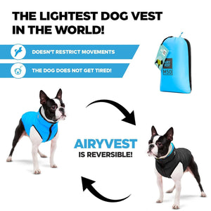 Lightweight Reversible Winter Dog Coat XS Size Warm Water Resistant Windproof