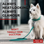 Load image into Gallery viewer, WAUDOG Rolled Leather Dog Leash 4Ft * 0.3 in for Small Medium and Large Dogs   Heavy Duty Leather Puppy Leash for Outdoor Walking Running Training   Strong Dog Leashes for Large Breed Dogs (Mint)
