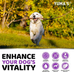 Load image into Gallery viewer, (2 Pack) Multivitamin Treats for Dogs Made in USA
