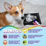 Load image into Gallery viewer, Prenatal Dog Vitamins 60 Pills for Dogs and Cats with Folic Acid Minerals and
