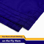 Load image into Gallery viewer, G128 5 Pack: New Hampshire NH State Flag  3x5 Ft  LiteWeave Pro Series Printed 150D Polyester  Indoor/Outdoor, Vibrant Colors, Brass Grommets, Thicker and More Durable Than 100D 75D Polyester