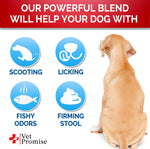 Load image into Gallery viewer, Scoot Stopper Anal Gland Support for Dogs and Bowel Function Dog Fiber Supplements Enhanced with Probiotics Pumpkin Psyllium Husk 120 Soft Scoot Away Chews No Scooting Made in USA