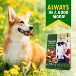 Load image into Gallery viewer, Calcium Bones for Dogs Chicken-Wrapped Rawhide-Free Chews