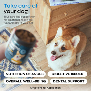 Probiotics for Dogs Chews for Digestive and Gut Health Dental Immune System